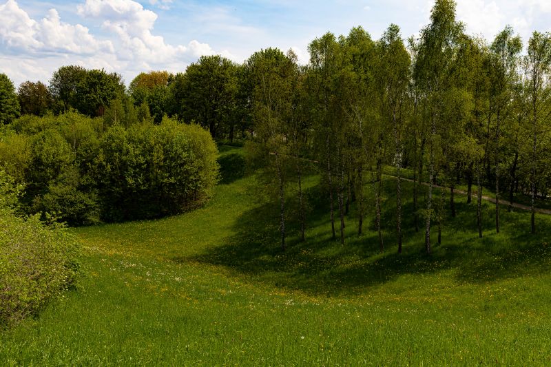 Hill Clearing