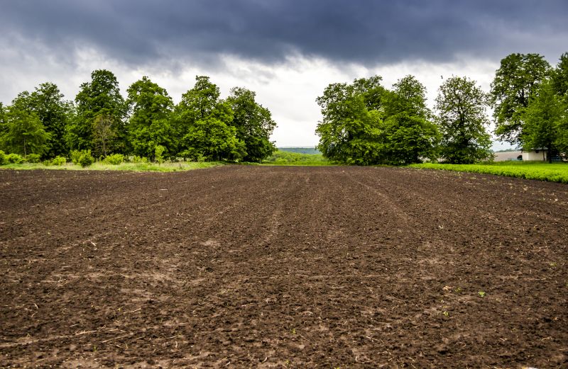 Acreage Clearing in Salt Lake City, UT