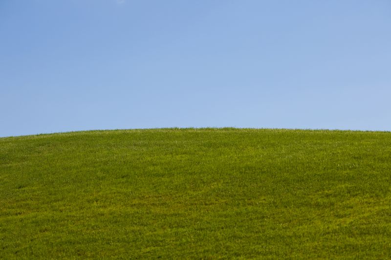 Scenic Hill Clearing View