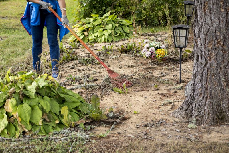 Site Cleaning in Houston, TX
