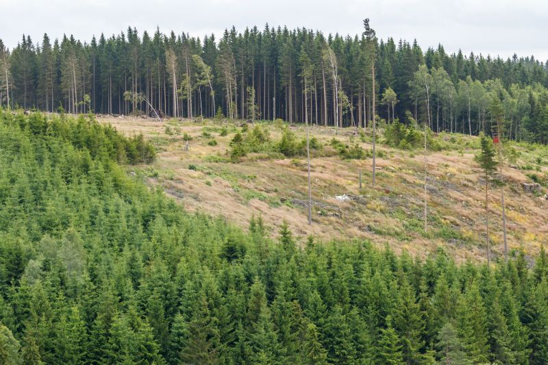 Customer Support and Consultation