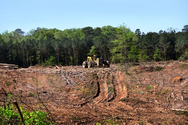 Reduces soil erosion